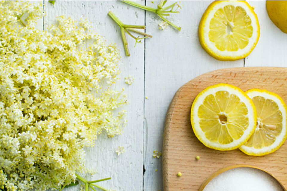 Elderflower Cordial Recipe