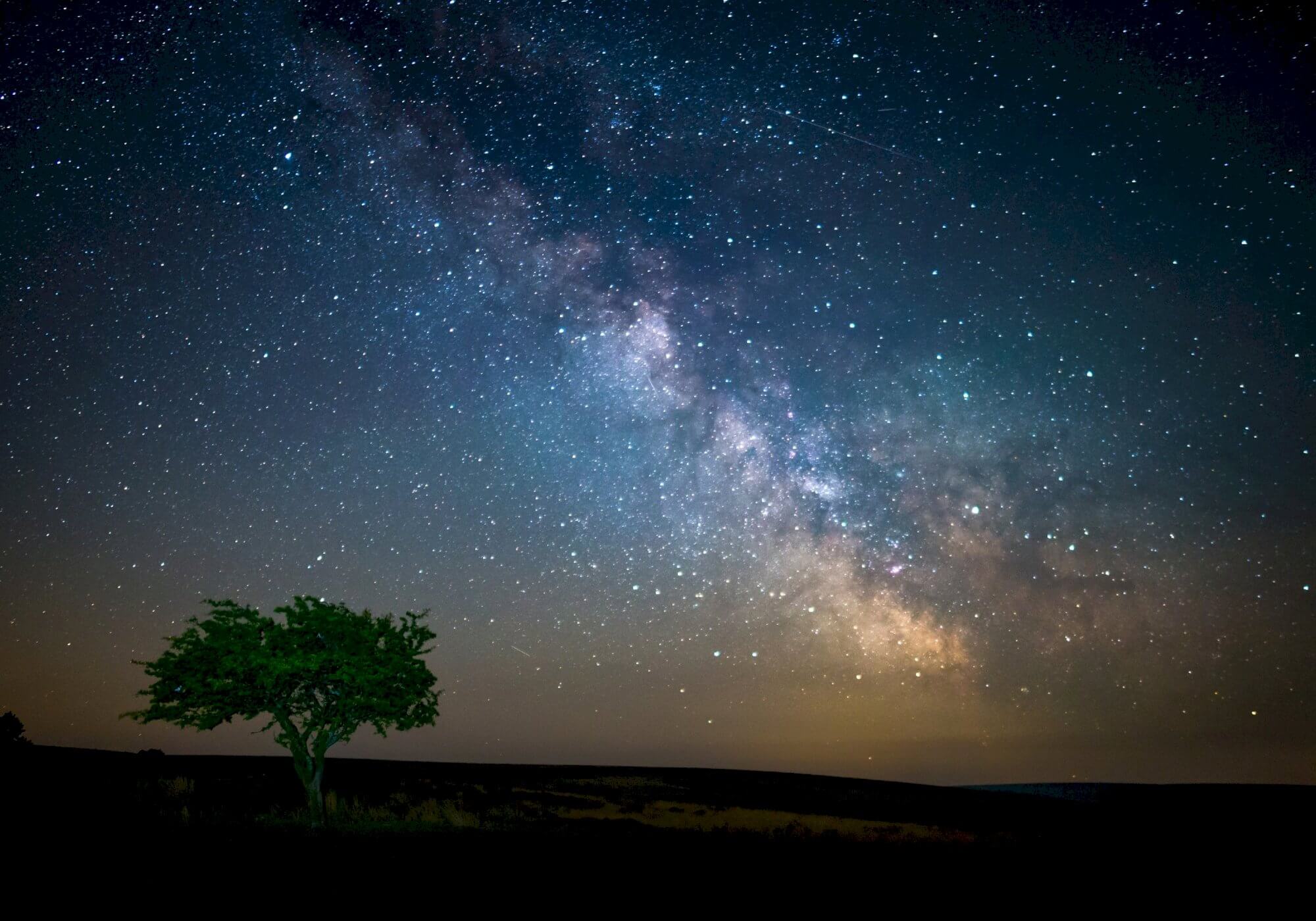 Stargazing Feasts at Exford Bridge Tearooms!