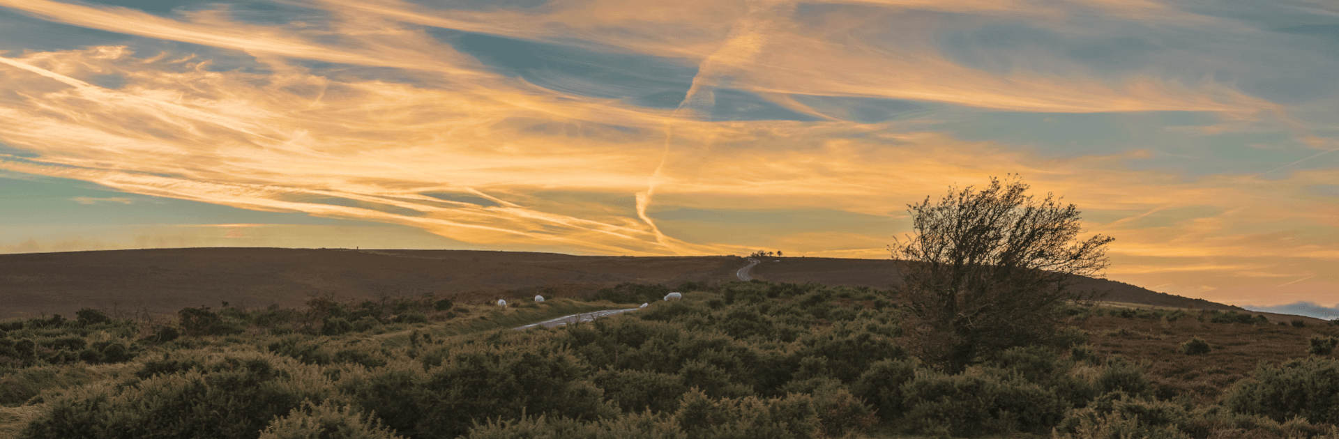 Exmoor Staycation